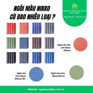 ngoi_mau_nikko_co_bao_nhieu_loai