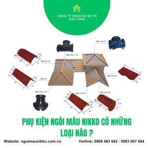 phu-kien-ngoi-mau-gom-nhung-loai-nao