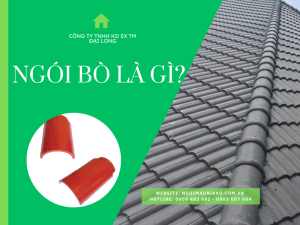 ngoi-bo-la-gi