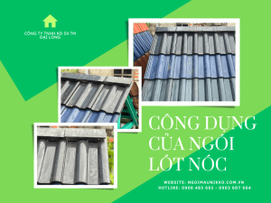 cong-dung-cua-ngoi-lot-noc