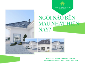 ngoi-nao-ben-mau-nhat-hien-nay