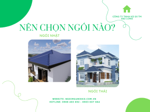ngoi-nhat-ngoi-thai-nen-chon-ngoi-nao