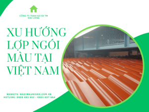 xu-huong-lop-ngoi-mau-tai-viet-nam
