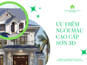 uu_diem_ngoi_mau_cao_cap_son_3d