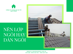 nen_lop_ngoi_hay_dan_ngoi