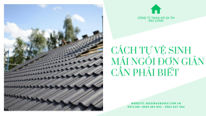 cach_tu_ve_sinh_ai_ngoi_don_gian_can_phai_biet.