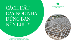 CÁCH ĐẶT CÂY NÓC NHÀ ĐÚNG BẠN NÊN LƯU Ý