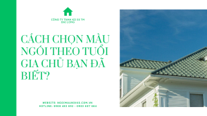 CÁCH CHỌN MÀU NGÓI THEO TUỔI GIA CHỦ BẠN ĐÃ BIẾT
