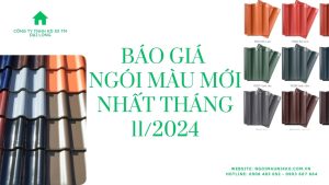 BÁO GIÁ NGÓI MÀU MỚI NHẤT THÁNG 11_2024